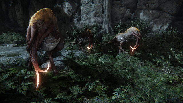 File:Evolve Mammothbird.jpg