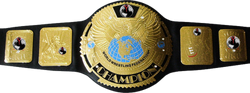 Independentchampionship