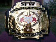 SFW USBTitle
