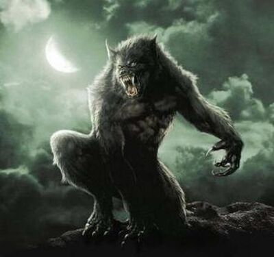 Werewolf2