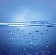 Water-225 tcm18-86280