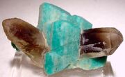 Wilmannsrock Mythbusteride