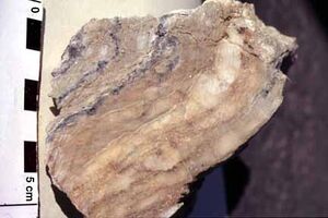 Cerussite