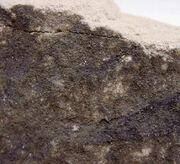 Selenium