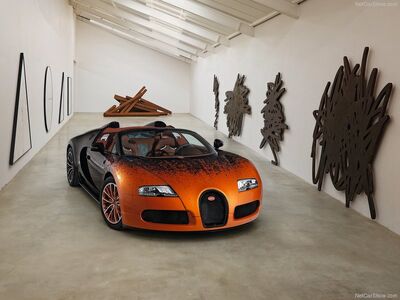 Bugatti-Veyron Grand Sport Bernar Venet 2012 800x600 wallpaper 01