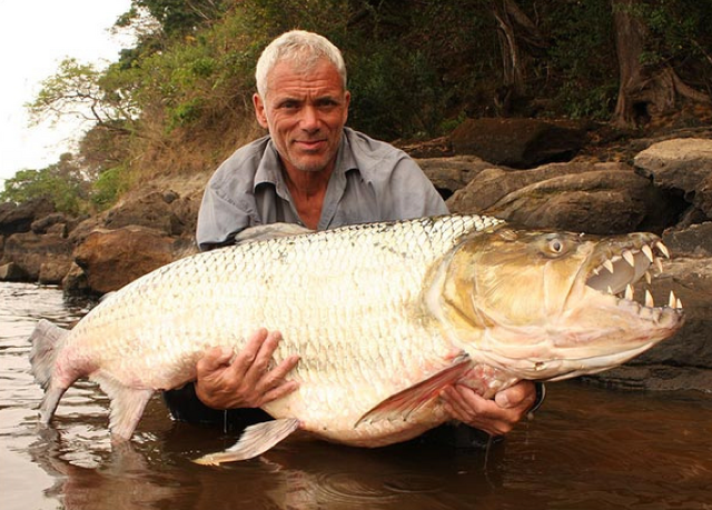 File:Jeremywadetigerfish.png
