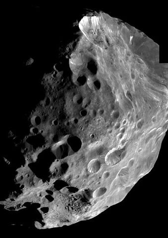 File:Phoebe.jpg