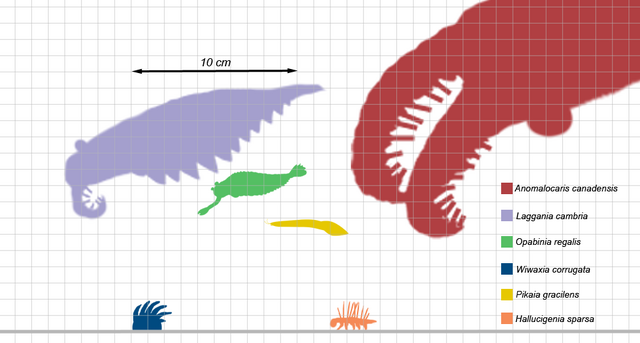 File:Burgess scale2.png
