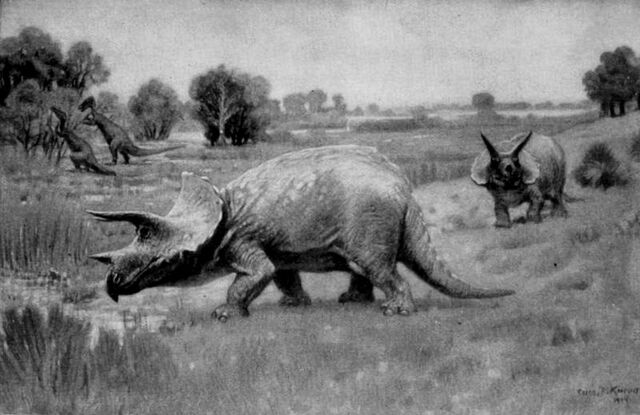File:Triceratops - 9(Kingtian painting).jpg