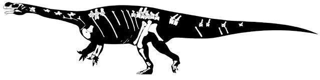 File:Aardonyx - 1(Skeletal).jpg