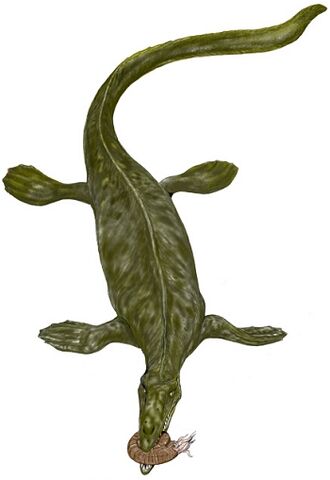 File:Mosasaurus.jpg