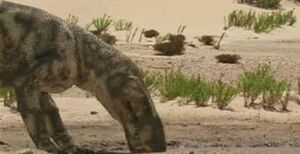 Gorgonopsid