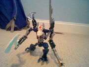 Naxtor2