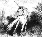 Unicorn