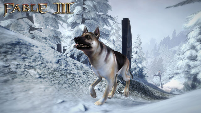 File:F3 DLC Alsatian.jpg