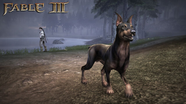 File:F3 DLC Doberman.jpg