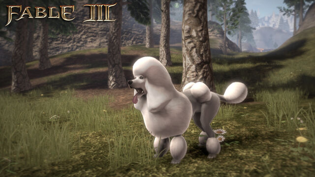 File:F3 DLC Poodle.jpg