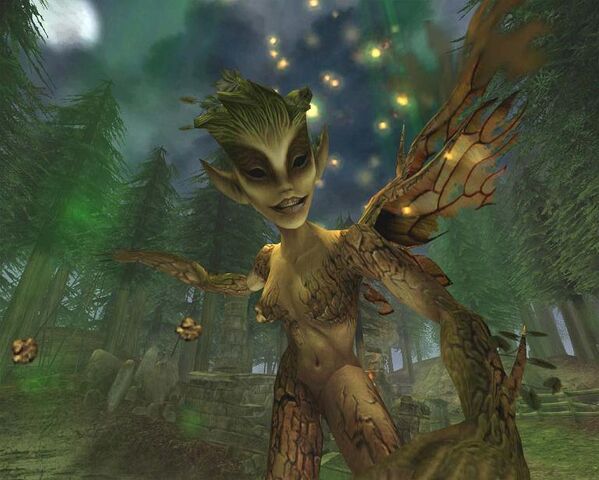 File:Wood Nymph.jpg