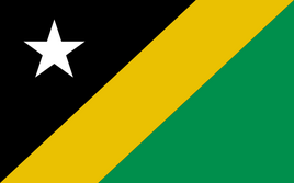 CRNE Flag 2