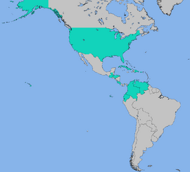 RedStarWhiteStarTurn9CFTUMap
