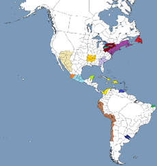 ColonialisationTurn3Map