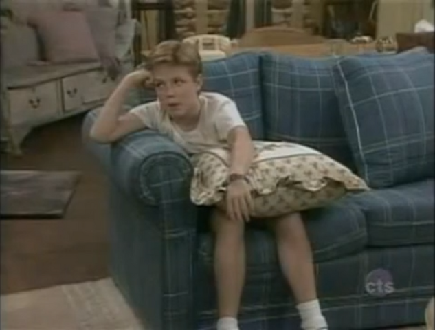 File:The Facts Of Life Another Room Andy Moffett 1.png