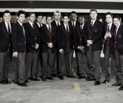 Warblers.png