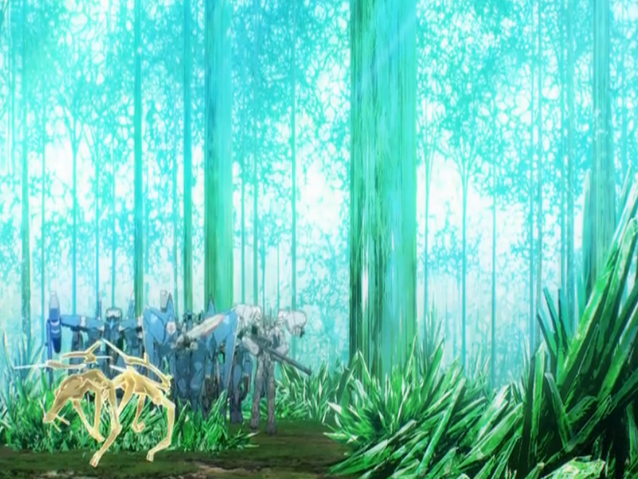 Archivo:Bosque01.png