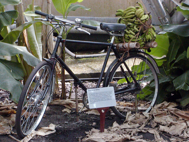 Datei:Bananenfahrrad.jpg