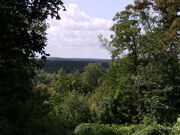 Blick vom Teufelsberg (Berlin).jpg