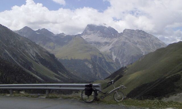 Datei:Albula dalli.jpg