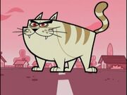 Super Cat