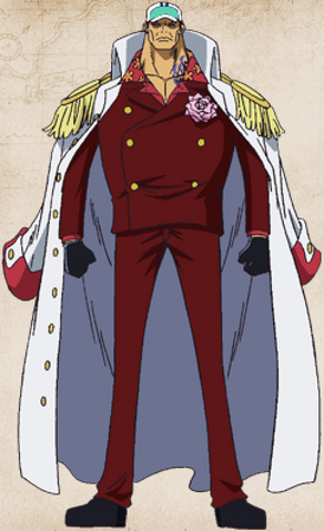 File:Sakazuki Full Body.png