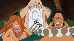 Chinjao Family Anime Infobox