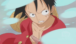 Observation Haki Anime Infobox