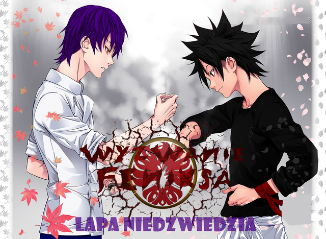Plik:Seria WF3.png