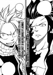 Natsu et Grey face à face