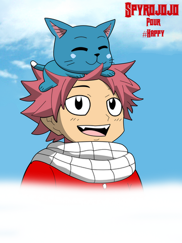 Fichier:Happy reco.png