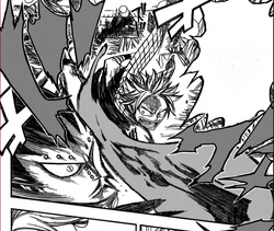 Natsu attaque Gajil.png