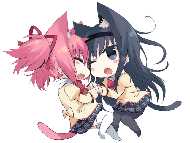Fichier:Wenderrya.png