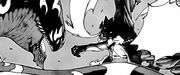 Acnologia contre Ignir