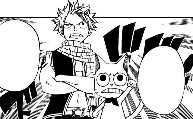 Fichier:Natsu fera équipe avec happy.jpg