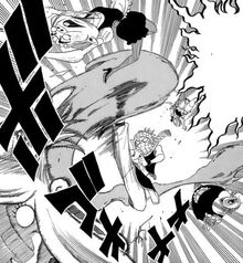 Chute do ninja do fogo