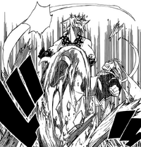 Natsu Attacks Jackal