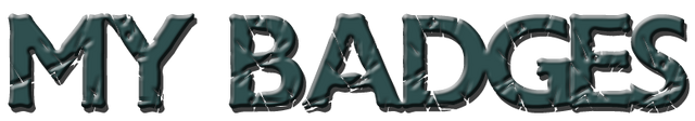 File:My Badges.png