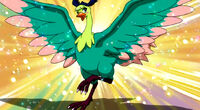 Lisanna Bird.jpg