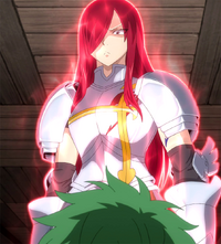 Erza explains the meaning of a guild