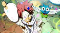 Natsu and Happy on Fantasia parade