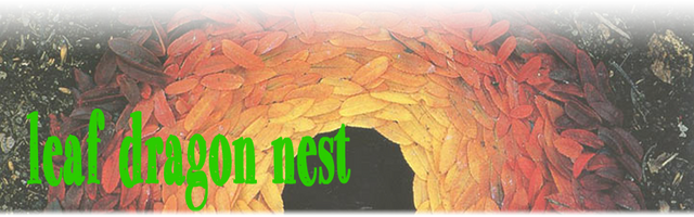 File:Leaf Dragon Nest.png
