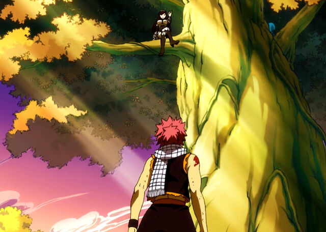 Plik:Natsu mets Ultear.jpg